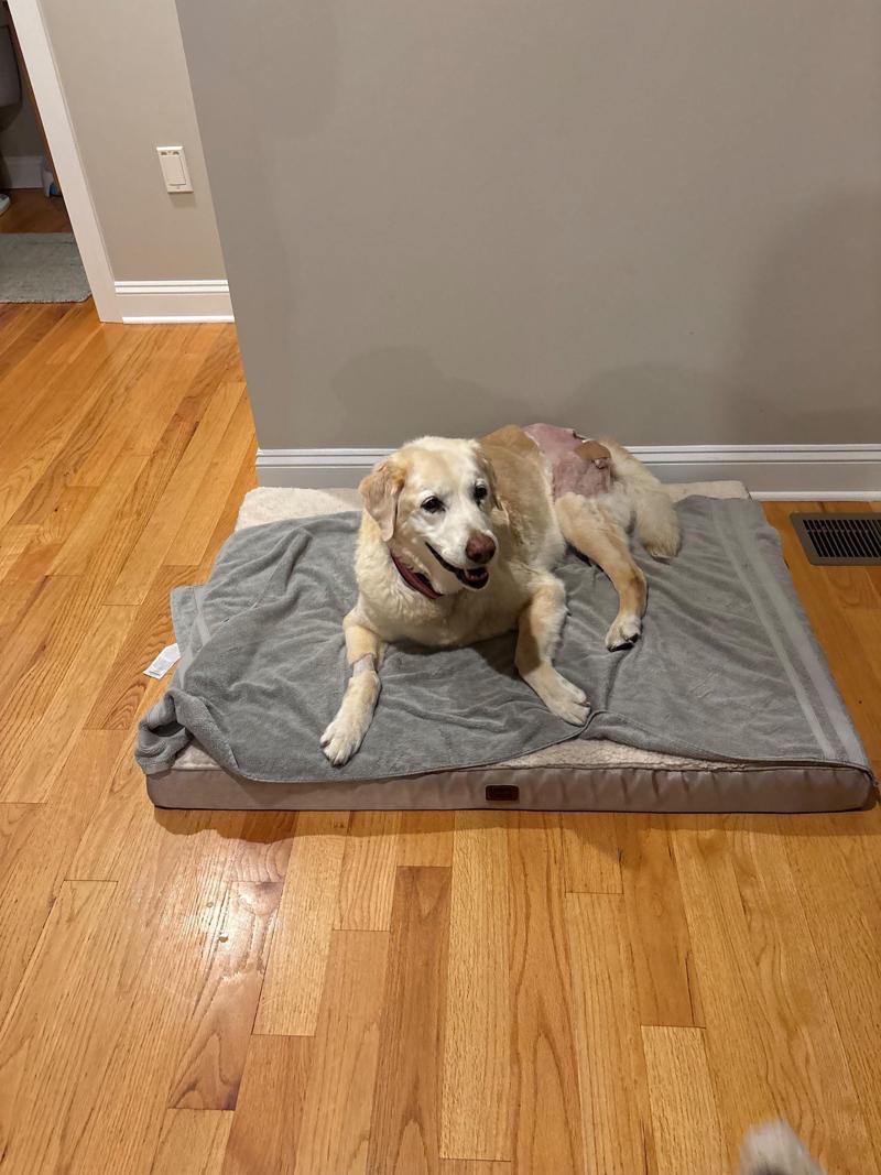 Gabby, our girl
