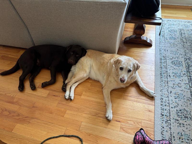 Gabby and Eddie together
